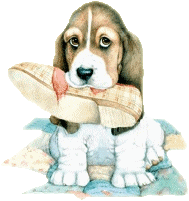 Korean Language Enthusiast and Dog Lover. Facebook Page = http://t.co/FlPlA7j6VH