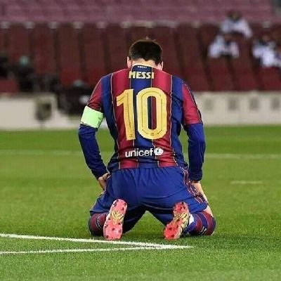 aviarefynie's profile picture. 