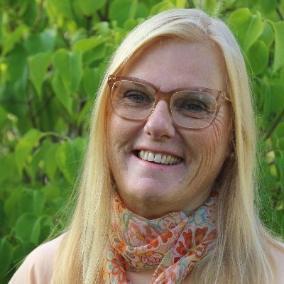 Departement and program officer at Jönköping University. Lecturer, RN and PhM in Caring Sience. Previous COO (in NGO) and DO etc in Region Jonkoping