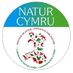 Natur Cymru (@NaturCymru) Twitter profile photo