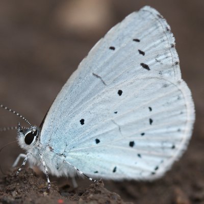 ann_feltham's profile picture. Londoner now living near Downpatrick.