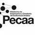 PECAA Asociación (@asociacionpecaa) Twitter profile photo