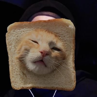 boongaaaaaaaa's profile picture. Don't give up just because things are hard