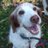 myuko711's profile image