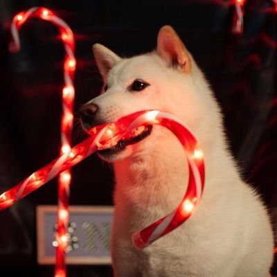 hdjsoeoc's profile picture. toss your thoughts to the sea