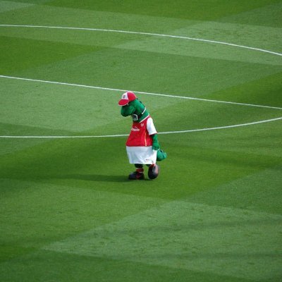 dawgy133's profile picture. Jew. Non-Zionist. Frontline clinician. Solidarity with Palestinian suffering.  ✡️🇵🇸  Also, Arsenal, Staffys.