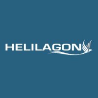 Helilagon (@helilagon974) 's Twitter Profile