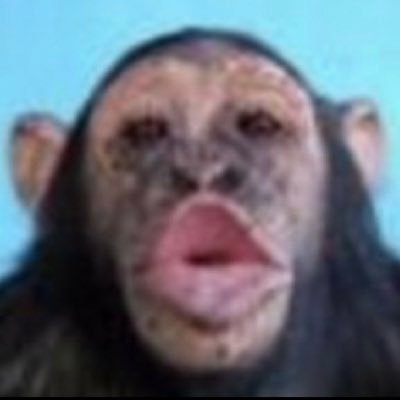 猿煌帝（えんぺら〜）さんのプロフィール画像