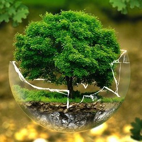 herbalearth_'s profile picture. 💚 Health Growth 🌿 Mindset Growth 💚 Knowledge Growth in Herbal Medicine 🌿 Follow us for expert info and advice on natural remedies!