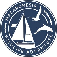 Macaronesia Wildlife Adventure(@MacaronesiaA) 's Twitter Profile Photo