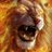 T_Mitchell82's profile image