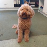 Howard (@howard72849783) 's Twitter Profile