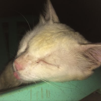 diehard37502119's profile picture. S T A N worthily & a humble bich.