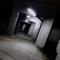 ドルジ (@nanpow3r) 's Twitter Profile