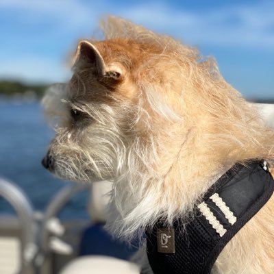 jamee_ervin's profile picture. Find good. Seek truth. Inspire others.    -J Ervin