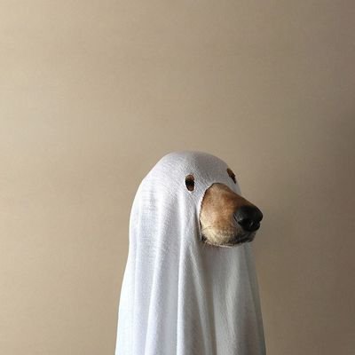 น่ารักจังคั๊บบบさんのプロフィール画像