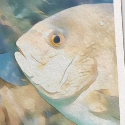 釣りアカ🎣| 沖縄 | 釣り歴3年 | さびき釣り| ショアジギング | 泳がせ釣り練習中 | 本業はウマ娘トレーナーで副業は限界プロジェクトマネージャー | 沖縄移住済