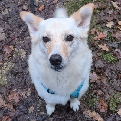 rivers_jd's profile picture. Writer. I like what I like. She/her. Scif-fi/fantasy/magical realism romance. Yes, they're gay. Find me on Bluesky: https://t.co/ZboXc80k0d