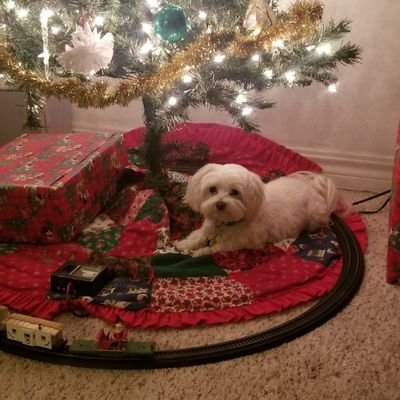 Funthin40692547's profile picture. 