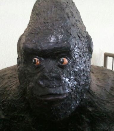 hirofu113's profile picture. ゴリラ好き