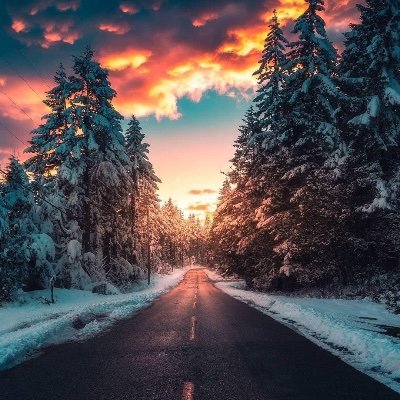 empathize15's profile picture. Doing is better than saying.