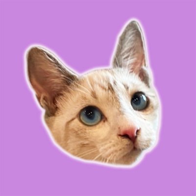 雨の中1人でうずくまってたところ保護されたポコリーナ🐈🐾我が家に来て慣れてくれたかな?おてんばのテモンも家族になりました✨
🔻ポコちゃんねる
https://t.co/v46nbZFh8w
良かったらチャンネル登録お願いします♪