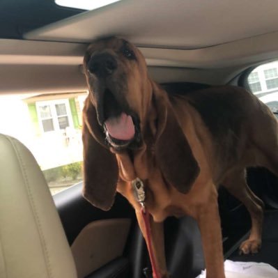 Dan95655304's profile picture. The only man I fear is God