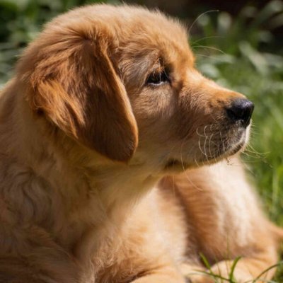 curi_fn's profile picture. Grinder