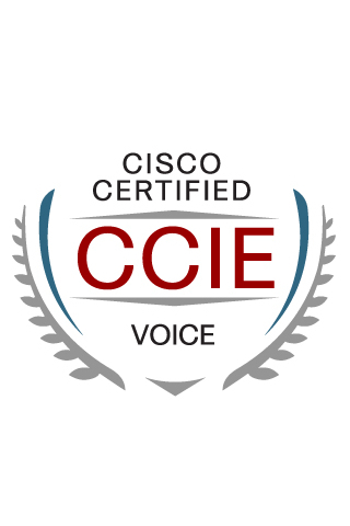 이름 : 신정섭 CCIEV #28589
나이 : 34세
거주지 : 고양시
직업 : Network Engineer
활동지역 : 강남구
CCIE Voice Full LAB을 소유한
Voice에 미친사람