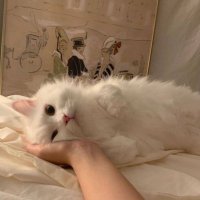 maitongrunaja. (@btrr45) 's Twitter Profile