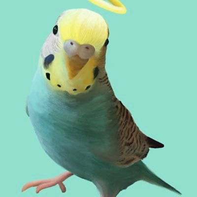 Ambiiirae's profile picture. Recently got back into my art after 4 years looking for a place to share it and get some feed back and of course for those who see it I hope you enjoy!