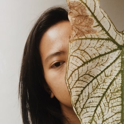 miramerre's profile picture. Sometimes bright, mostly cloudy.