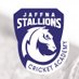 Jaffna Stallions (@JaffnaStallions) Twitter profile photo