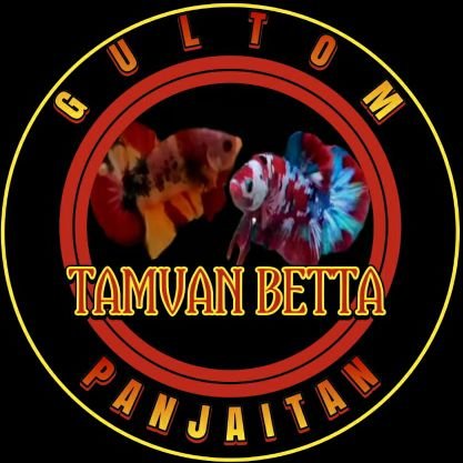 betta seller, breeder, and betta lovers| ig : @tamvan_betta| start your day and enjoy your betta fish