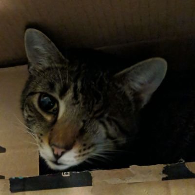 Brock73438355's profile picture. delete that shit right now