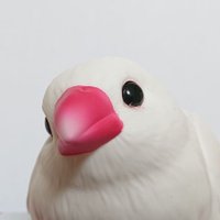 SYS (@sys_2011) 's Twitter Profile Photo SYS (@sys_2011) 's Twitter Profile Photo