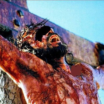 CHARBONNEAURob4's profile picture. Je puis tout par celui qui me fortifie💖💖💖💖