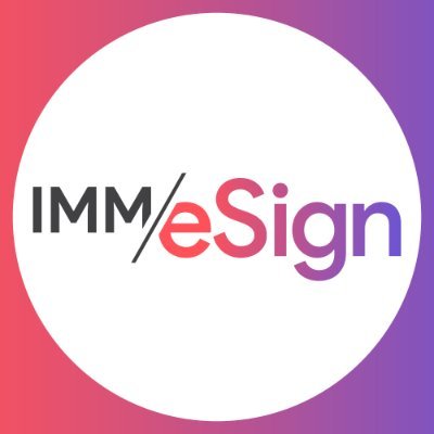 IMM: The Digital Transformation Company