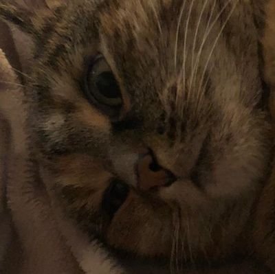 LineValue's profile picture. 