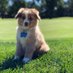Brian Boll (@turfyeti) Twitter profile photo Brian Boll (@turfyeti) Twitter profile photo