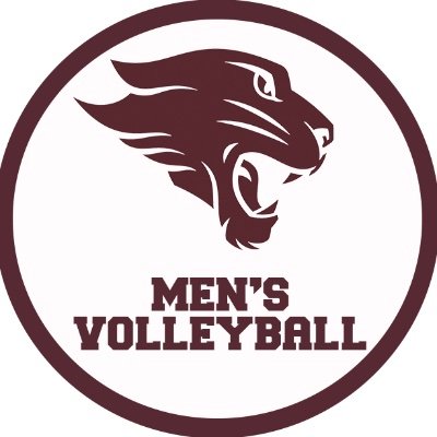 The official twitter account for Concordia Chicago Men’s Volleyball