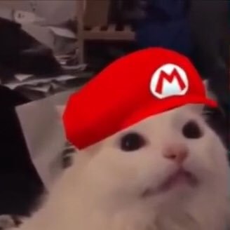 suushi_zip's profile picture. Life is a trip.