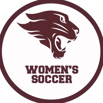 Official Twitter Page of Concordia University Chicago Women's Soccer ⚽️ 🐾