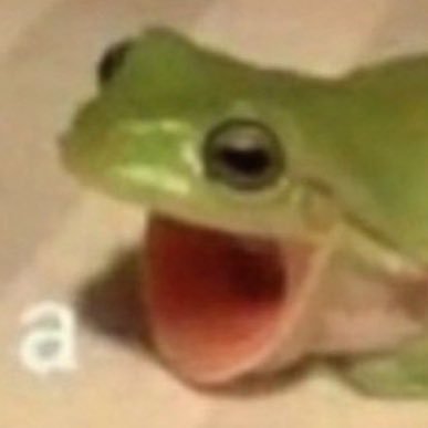 2906Robloxfan's profile picture. hi I’m new to twitter (he/him)