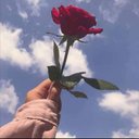 Nancy Elsayed - @NancyEl83586260 - Twitter