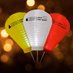 Light The Night (@lightthenight) Twitter profile photo Light The Night (@lightthenight) Twitter profile photo