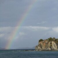 diane poplawski (@dandeepop) 's Twitter Profile