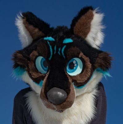 Kai!さんのプロフィール画像