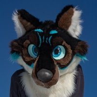 Kai! (@406kai) 's Twitter Profile