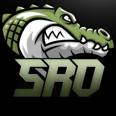 Streamer/Youtuber/Shitposter
 #Bitcoin

inquiries: sro@afkcreators.com